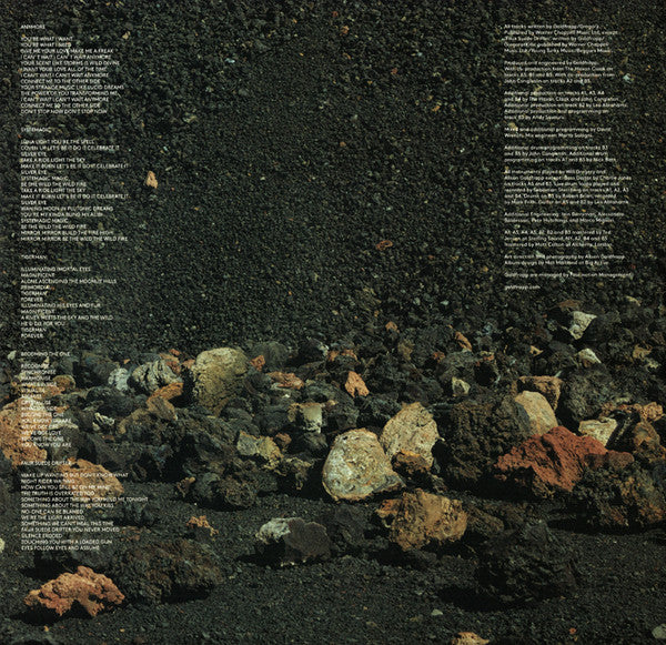 Goldfrapp : Silver Eye (LP, Album)