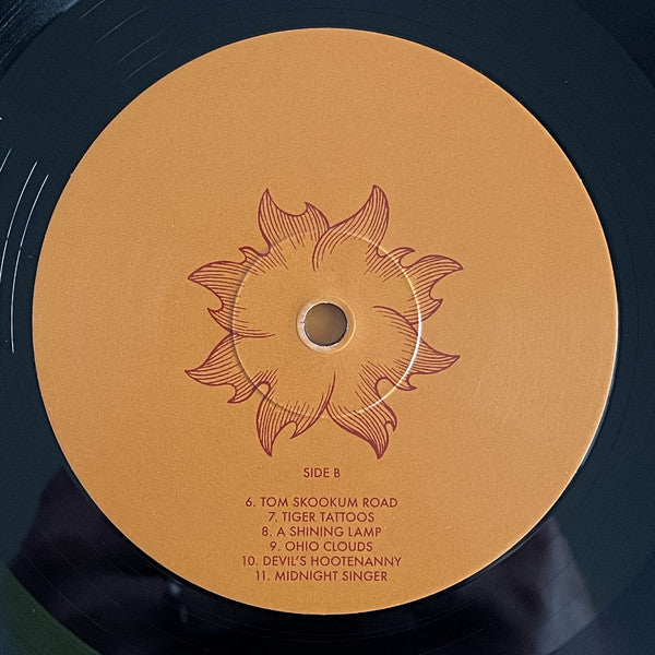 Laura Veirs : Troubled By The Fire (LP, Album)