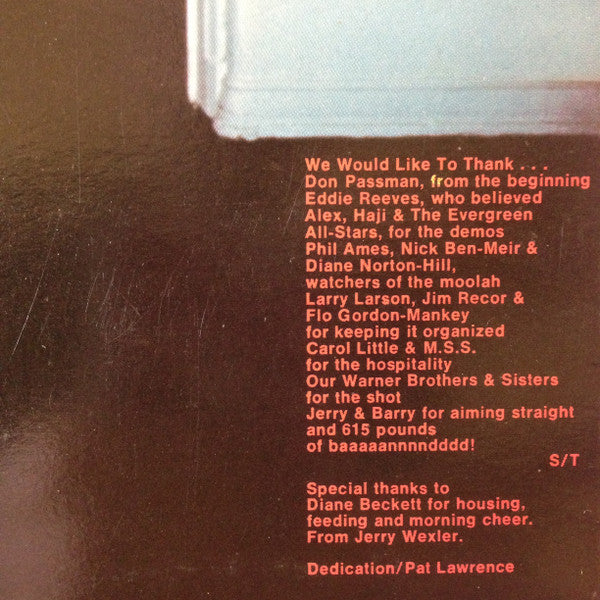 The Sanford-Townsend Band : The Sanford Townsend Band (LP, Album)