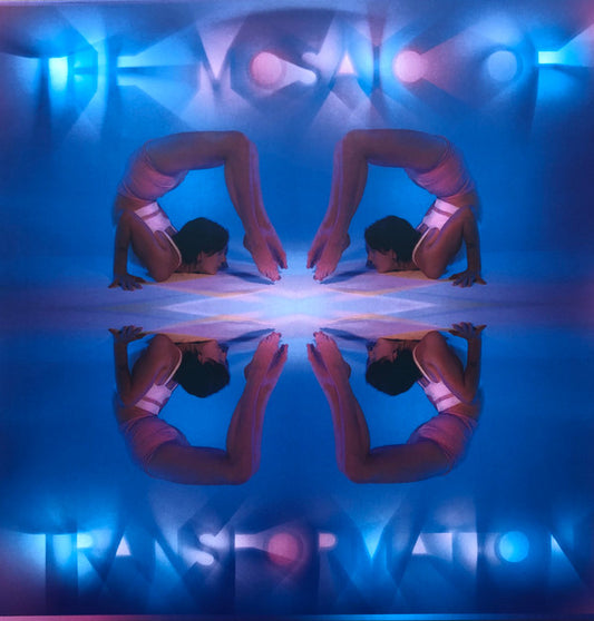 Kaitlyn Aurelia Smith : The Mosaic Of Transformation (LP, Album)