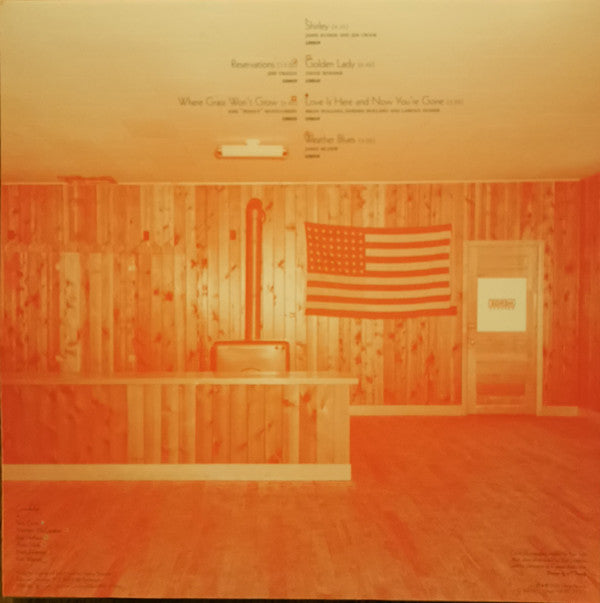 Lambchop : Trip (LP, Album, Ltd, Cok)