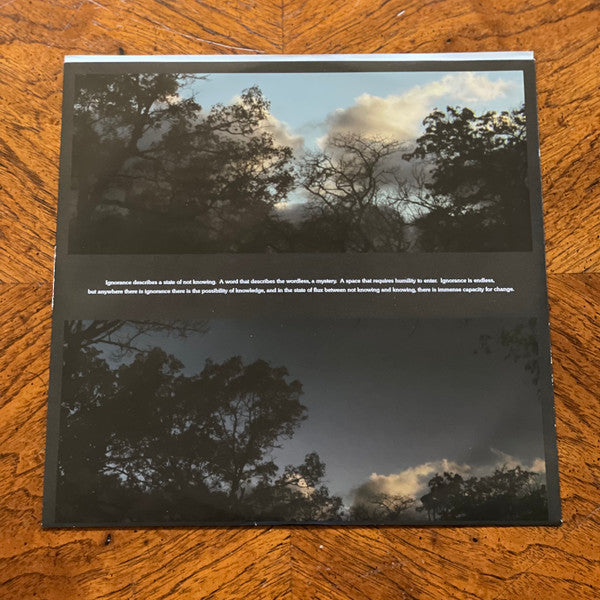 The Weather Station : Ignorance (LP, Album, Sil)