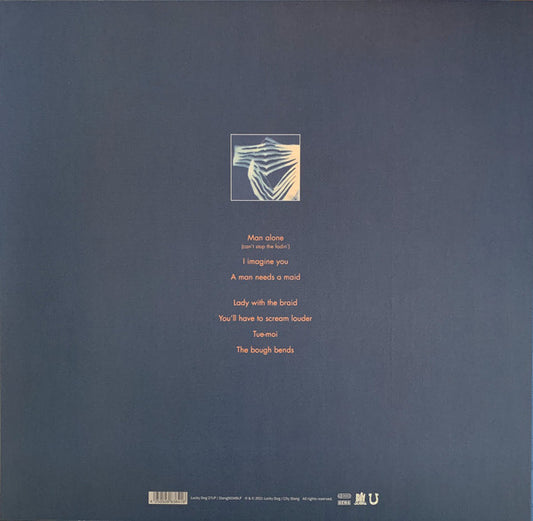 Tindersticks : Distractions (LP, Album)