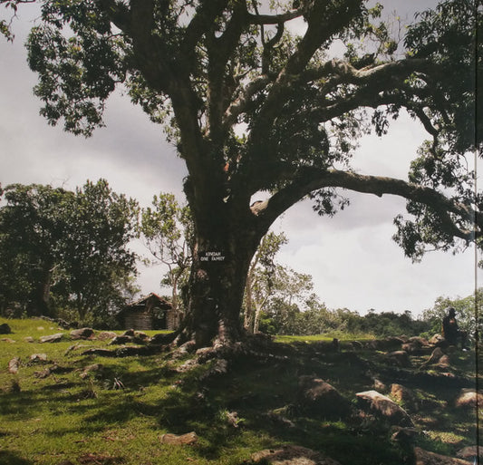 Various : Fire Over Babylon (Dread, Peace And Conscious Sounds At Studio One) (2xLP, Comp)