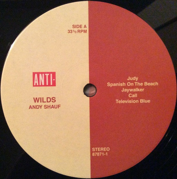 Andy Shauf : Wilds (LP, Album)