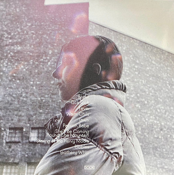 Aldous Harding : Warm Chris (LP, Album)