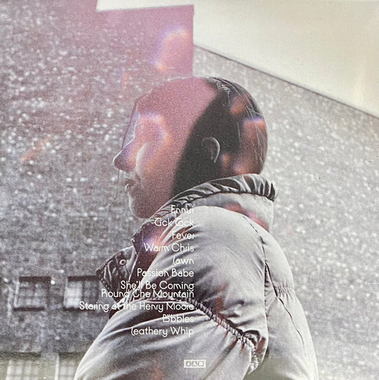 Aldous Harding : Warm Chris (LP, Album)