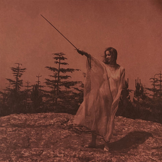 Unknown Mortal Orchestra : II (LP, Album, Ltd, RE)