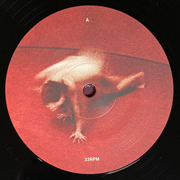 Lykke Li : Eyeye (LP, Album, 180)