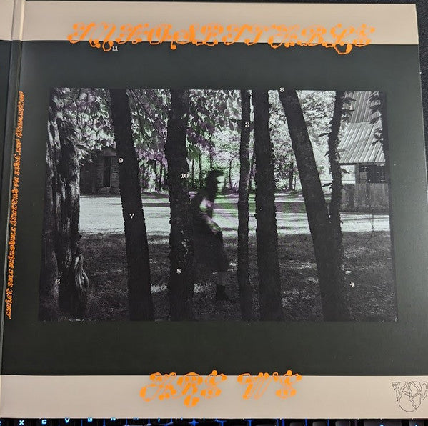 Mitski : The Land Is Inhospitable And So Are We (LP, Album, Ltd, Pin)