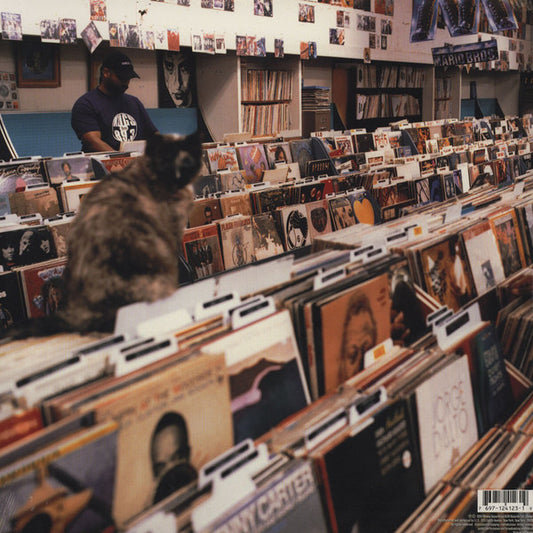 DJ Shadow : Endtroducing..... (2xLP, Album, RE)