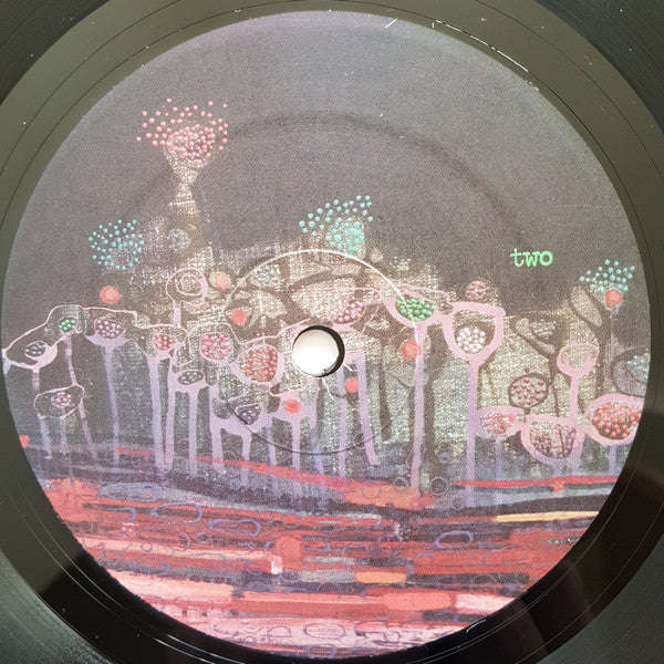 Bonnie 'Prince' Billy* : The Letting Go (LP, Album)