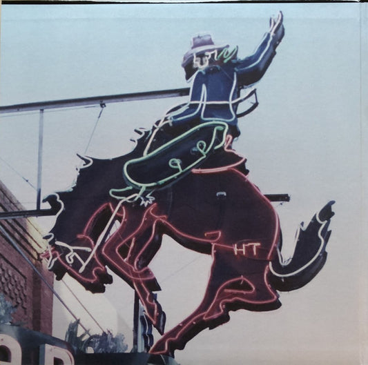 Various : Wayfaring Strangers: Cosmic American Music (2xLP, Comp)