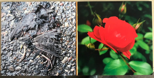 John Grant : Queen Of Denmark (2xLP, Album + 7" + RSD, Ltd, RE)