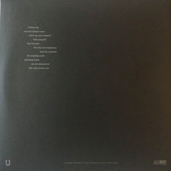 Tindersticks : The Waiting Room (LP, Album, Gat)