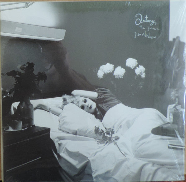 Antony and the Johnsons - I Am a Bird Now