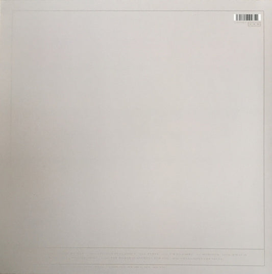 Aldous Harding : Party (LP, Album)