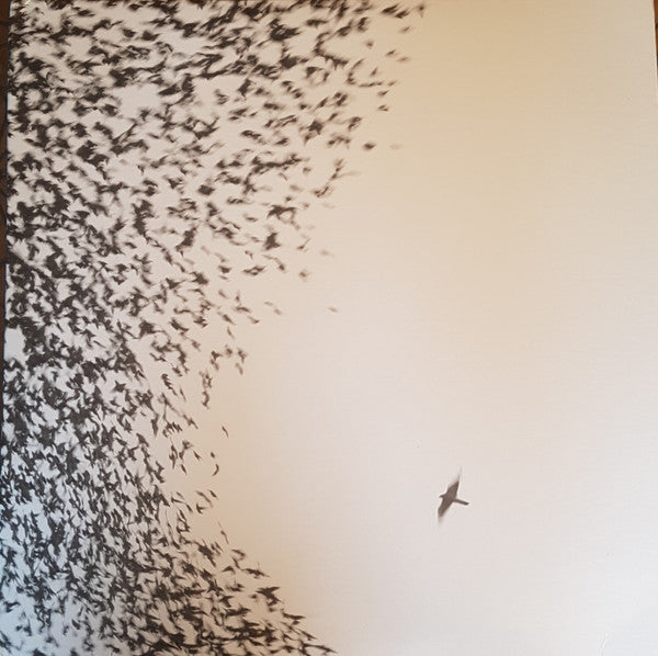Wilco : Sky Blue Sky (2xLP, Album)