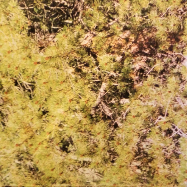 The Beta Band : The Three E.P.'s (2xLP, Comp, RE, RM + CD, Comp)