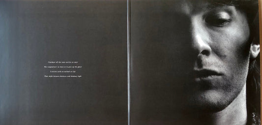 David Sylvian : Secrets Of The Beehive (LP, Album, RE, RM, 180)