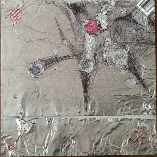 Stephen Malkmus : Groove Denied (LP, Album, Cle)