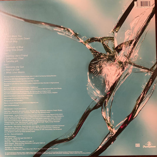 Richard Hawley : Hollow Meadows (2xLP, Album, RE, Blu)