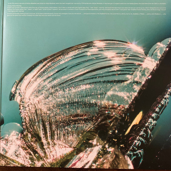Richard Hawley : Hollow Meadows (2xLP, Album, RE, Blu)