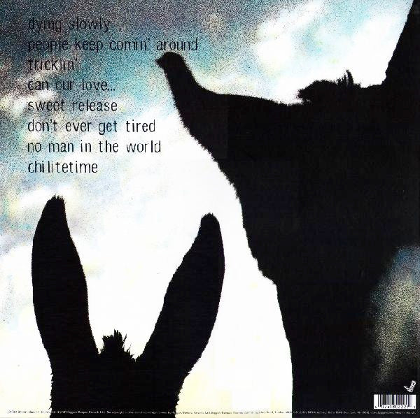 Tindersticks : Can Our Love... (LP, Album)