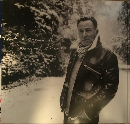 Bruce Springsteen : Letter To You (LP + LP, S/Sided, Etch + Album)