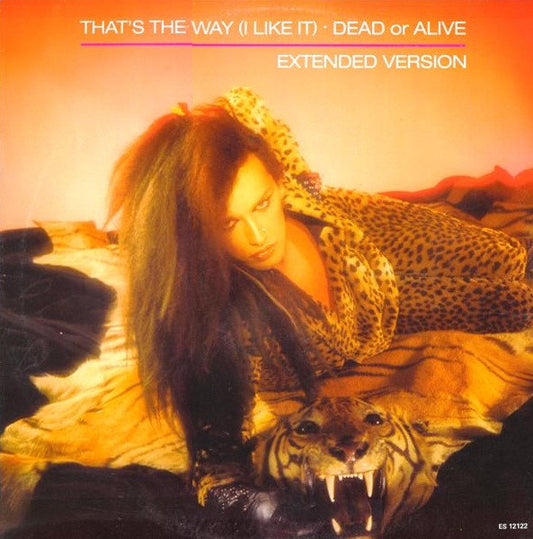 Dead Or Alive : That's The Way (I Like It) (Extended Version) (12", Single)
