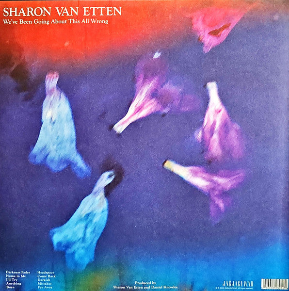 Sharon Van Etten : We've Been Going About This All Wrong (LP, Album)