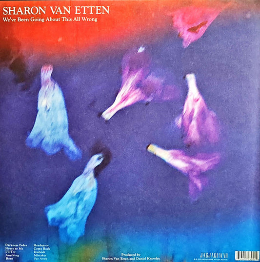 Sharon Van Etten : We've Been Going About This All Wrong (LP, Album)