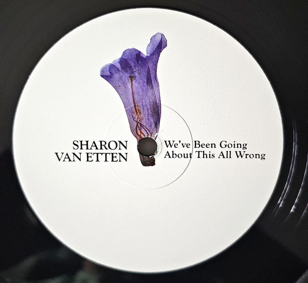 Sharon Van Etten : We've Been Going About This All Wrong (LP, Album)