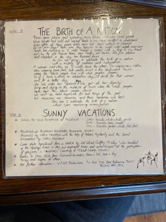 Wild Pumpkins At Midnight : The Birth Of A Nation (7")