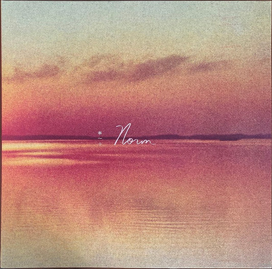 Andy Shauf : Norm (LP, Album)