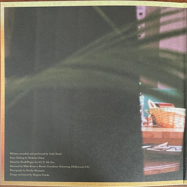 Andy Shauf : Norm (LP, Album)