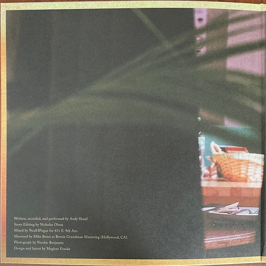 Andy Shauf : Norm (LP, Album)