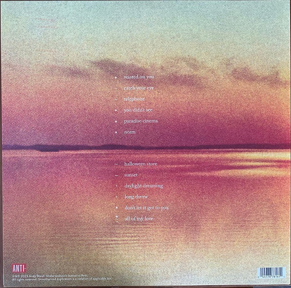 Andy Shauf : Norm (LP, Album)