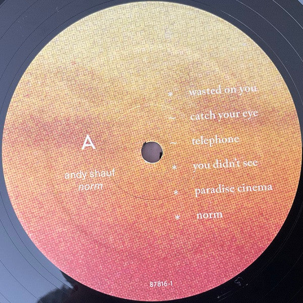 Andy Shauf : Norm (LP, Album)