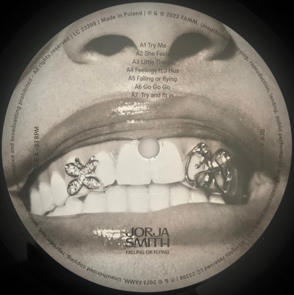 Jorja Smith : Falling Or Flying (LP, Album)