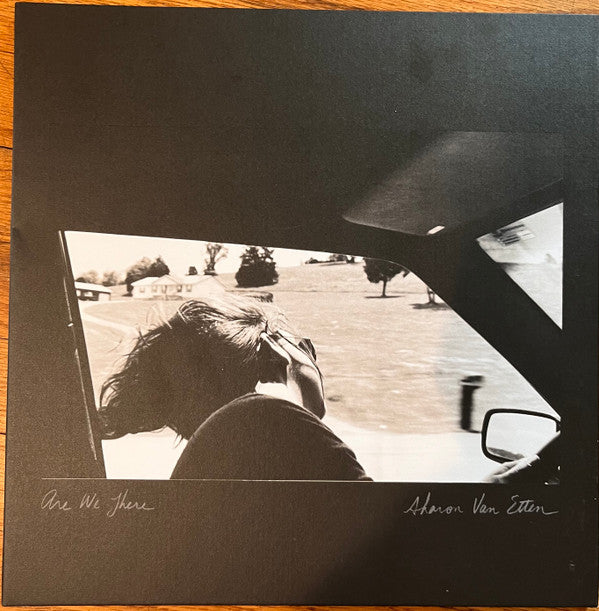 Sharon Van Etten : Are We There (LP, Album, Ann)