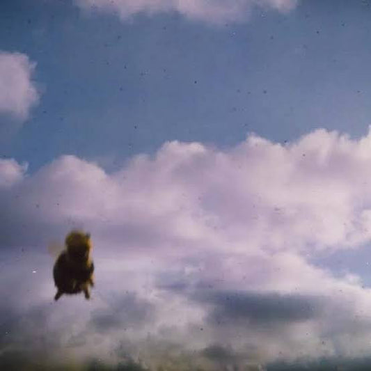 Pond (5) : Stung! (2xLP, Album, Cle)