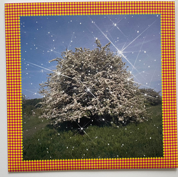 Caribou : Honey (LP, Ltd, Yel)