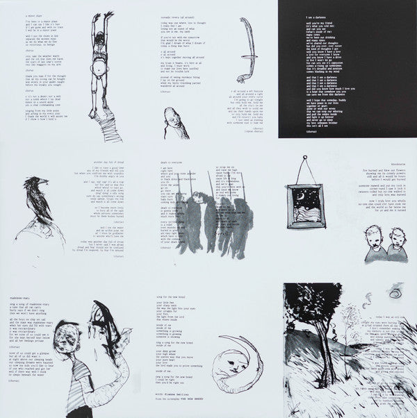 Bonnie 'Prince' Billy* : I See A Darkness (LP, Album)