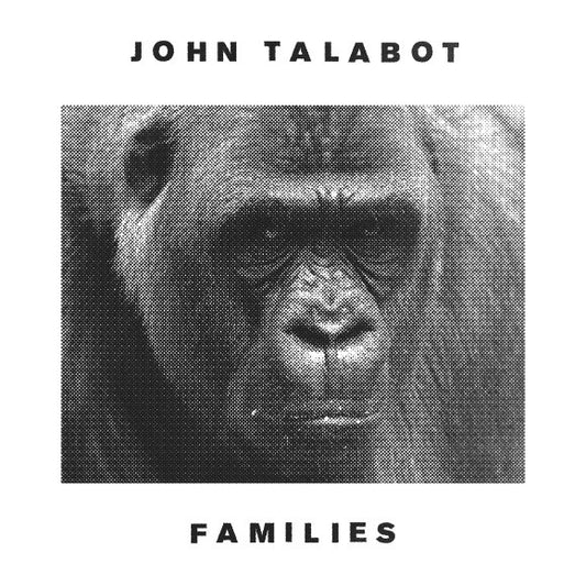 John Talabot : Families (12", RP)