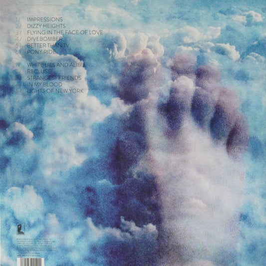 Neil Finn : Dizzy Heights (LP)