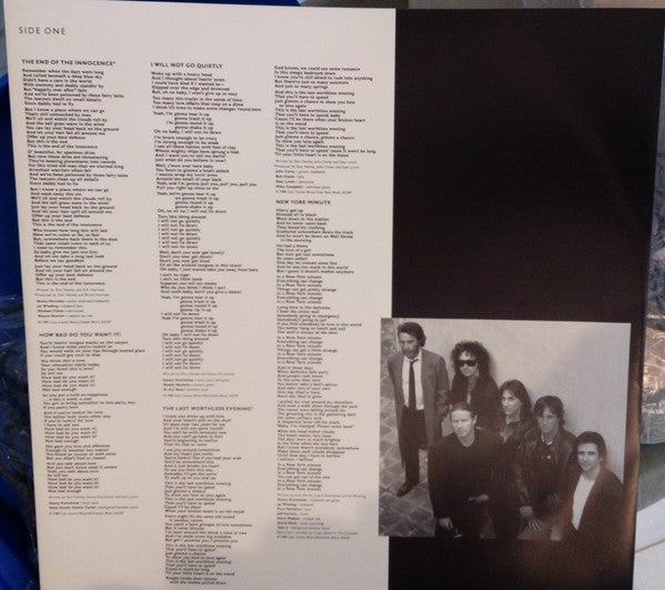 Don Henley : The End Of The Innocence (LP, Album)