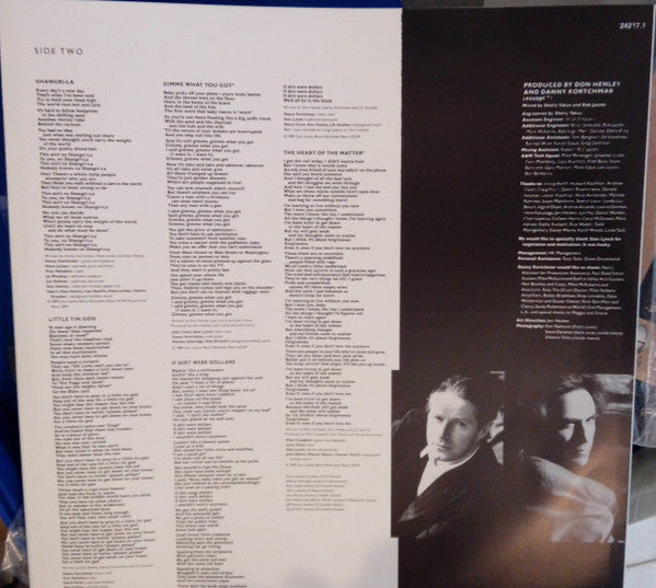 Don Henley : The End Of The Innocence (LP, Album)