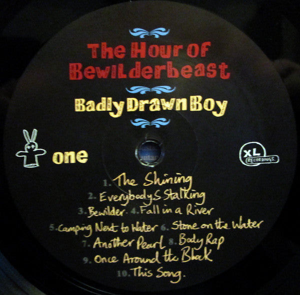 Badly Drawn Boy : The Hour Of Bewilderbeast (LP, RE)