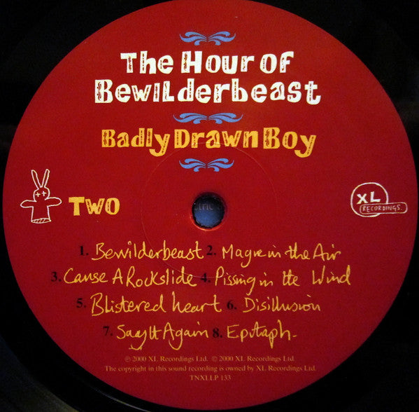 Badly Drawn Boy : The Hour Of Bewilderbeast (LP, RE)